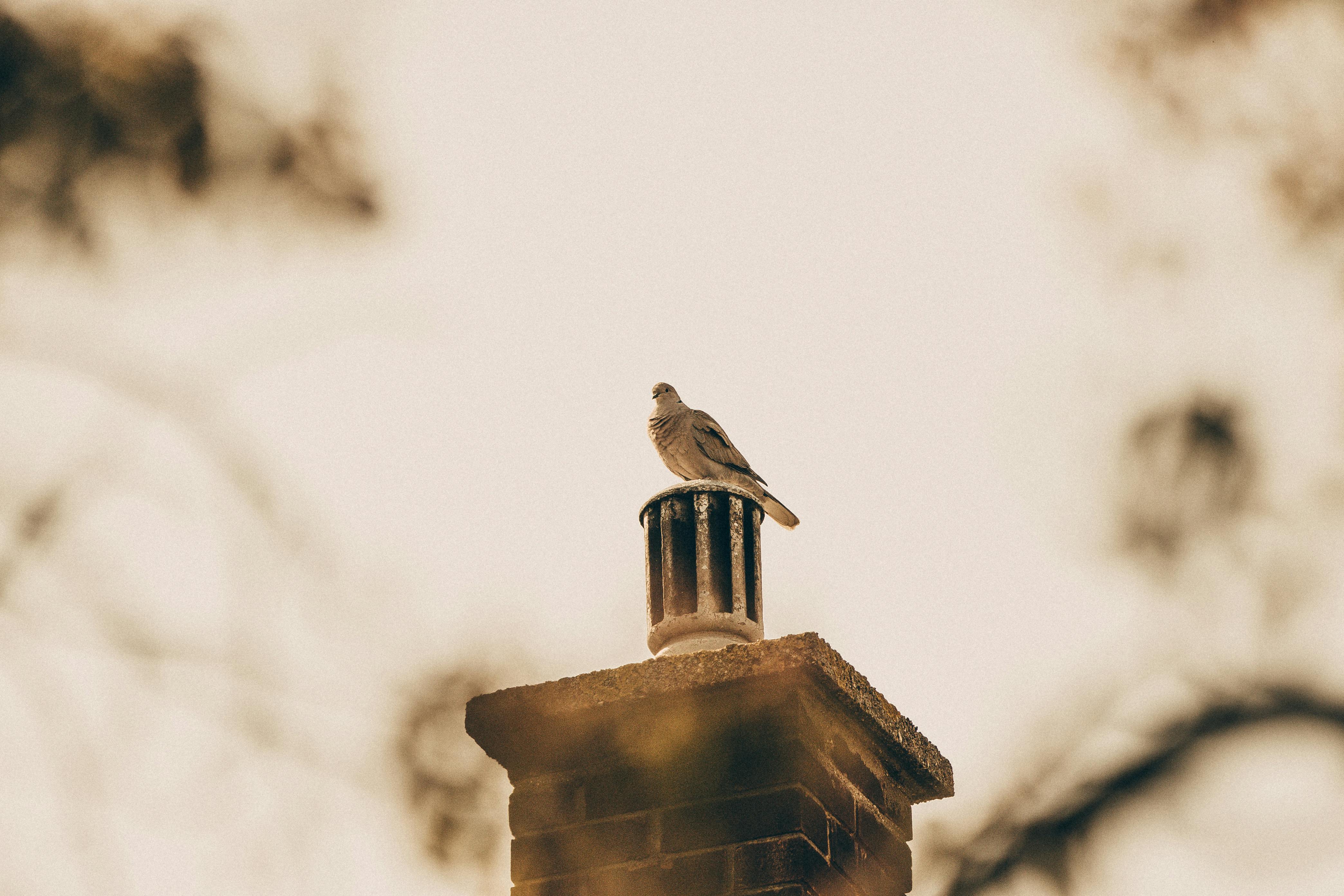 Expert Chimney Cap Installation in Imperial Beach, California